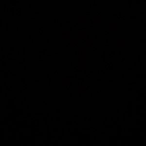 Looking for yeezy 350 zebra